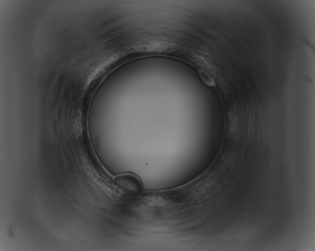 X0000101460392200807141311