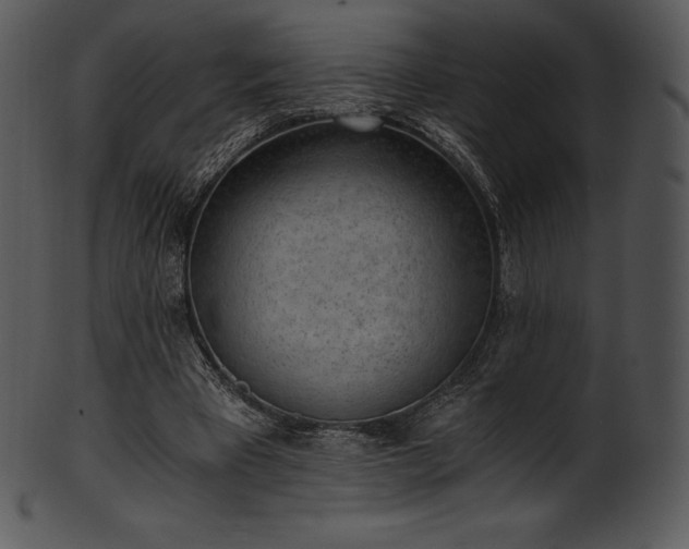 X0000101460393200807141311