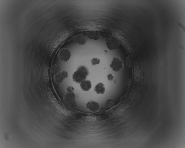 X0000101460394200807141311