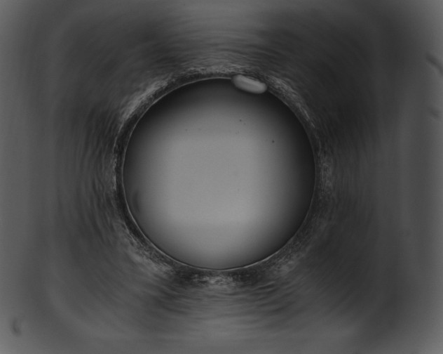 X0000101460395200807141311