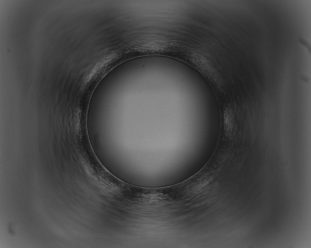 X0000101460396200807141311