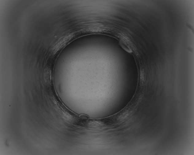 X0000101460397200807141311