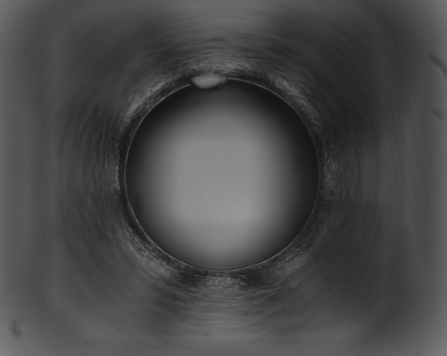 X0000101460399200807141311