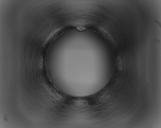 X0000101460400200807141311