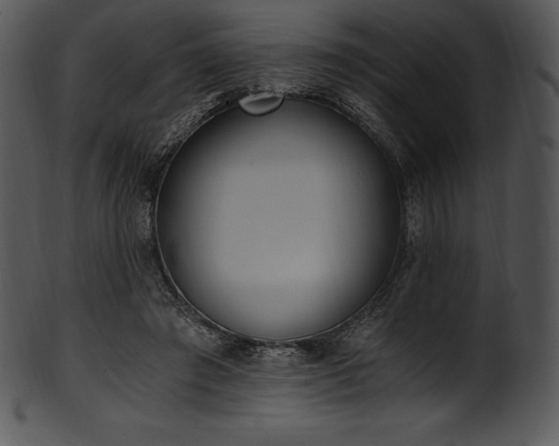 X0000101460401200807141311