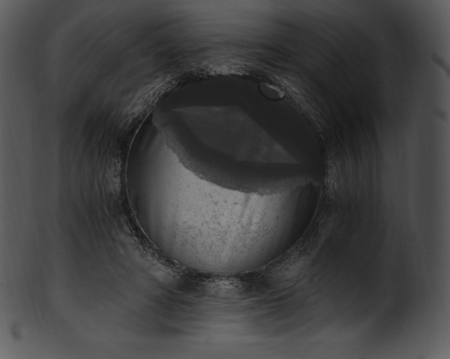 X0000101460402200807141311