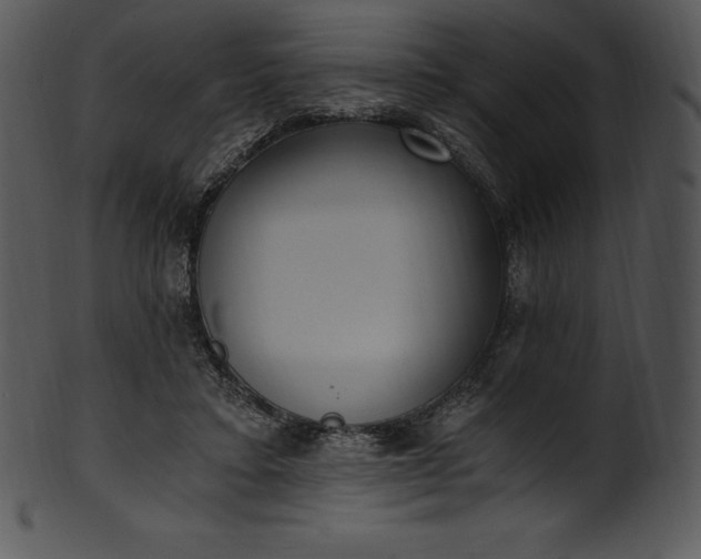 X0000101460403200807141311