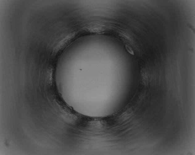 X0000101460404200807141311