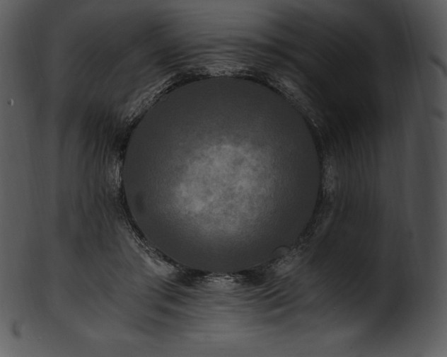 X0000101460405200807141311