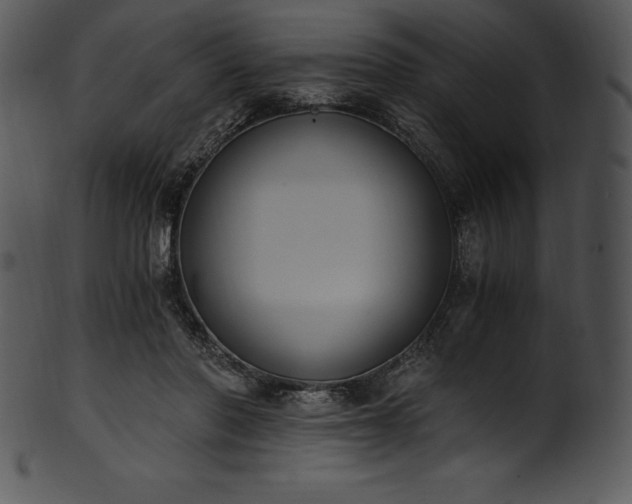 X0000101460406200807141311