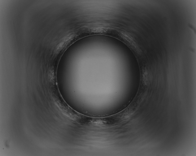 X0000101460407200807141311
