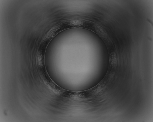 X0000101460408200807141311