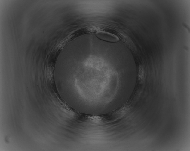 X0000101460409200807141311