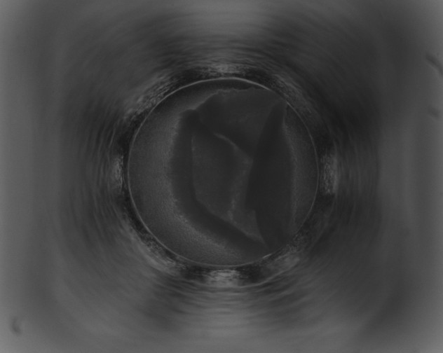X0000101460410200807141311