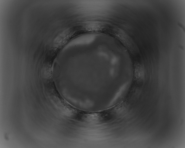 X0000101460411200807141311
