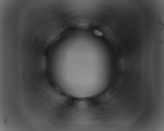 X0000101460412200807141311