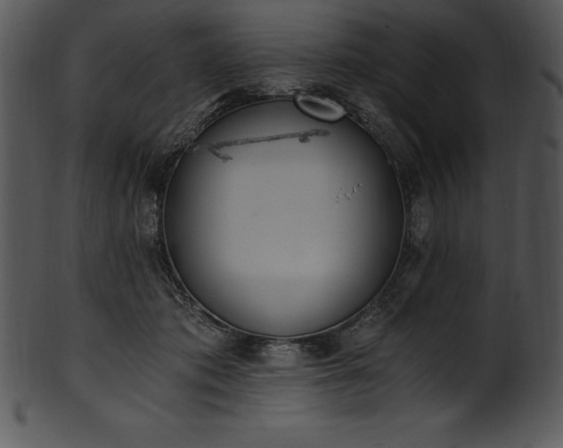 X0000101460413200807141311
