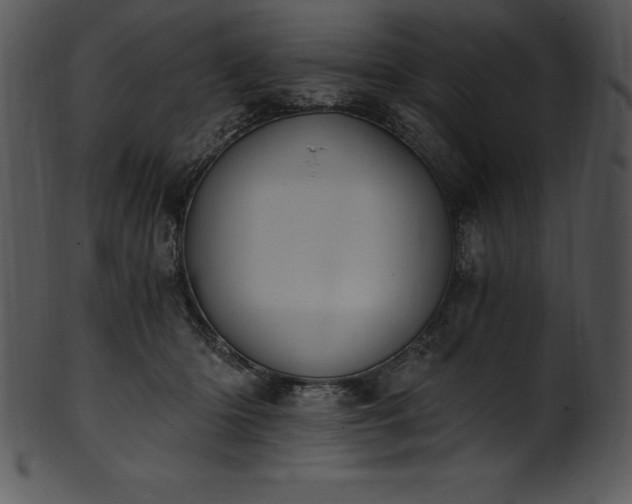 X0000101460414200807141311