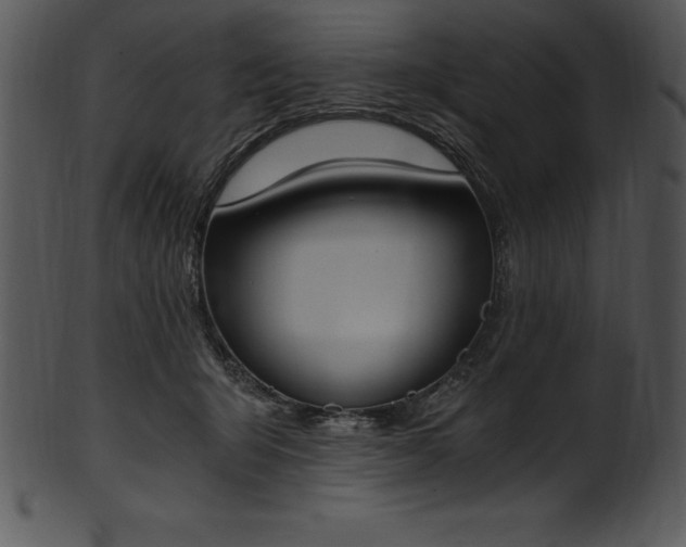X0000101460415200807141311