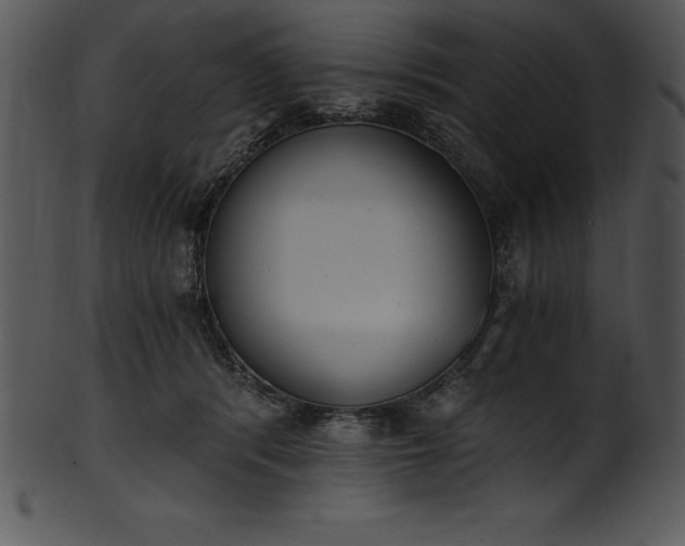 X0000101460416200807141311