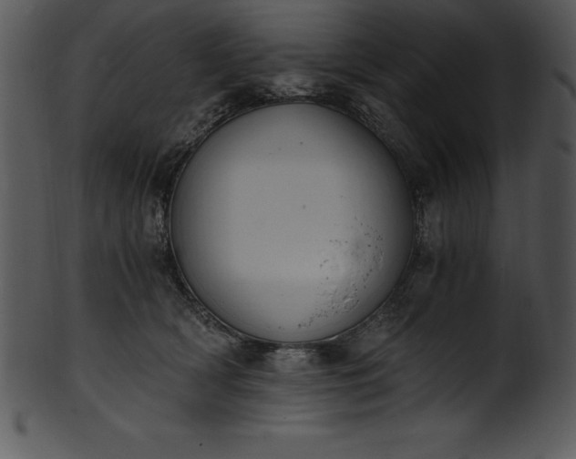 X0000101460418200807141311