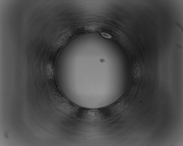 X0000101460420200807141311