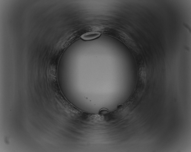 X0000101460421200807141311