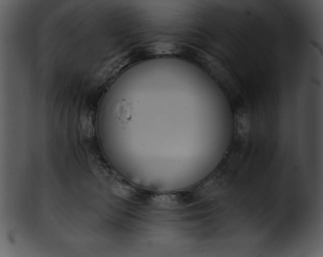 X0000101460422200807141311