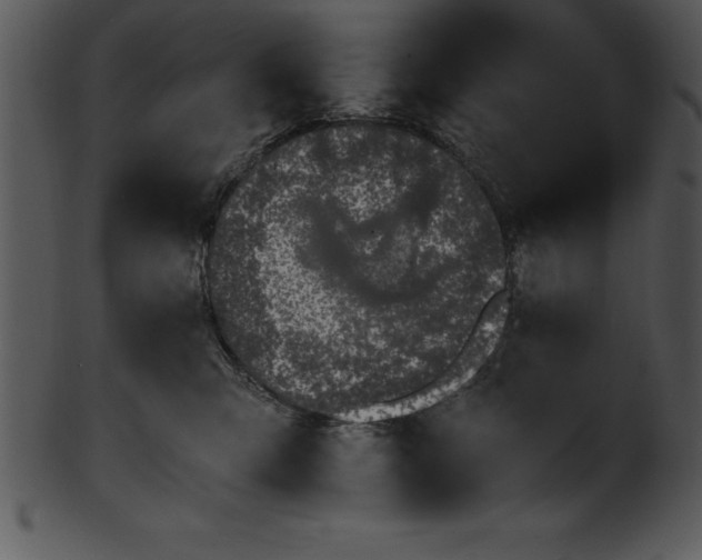 X0000101460423200807141311