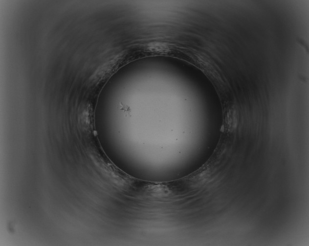 X0000101460424200807141311