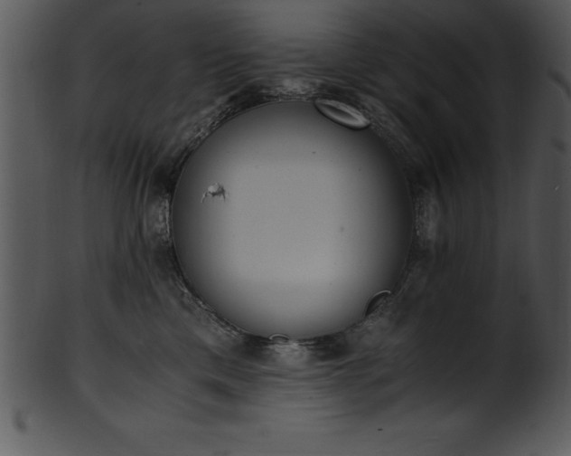 X0000101460425200807141311