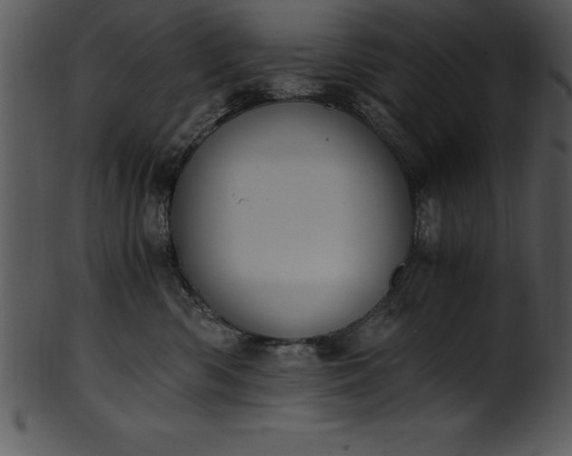 X0000101460426200807141311