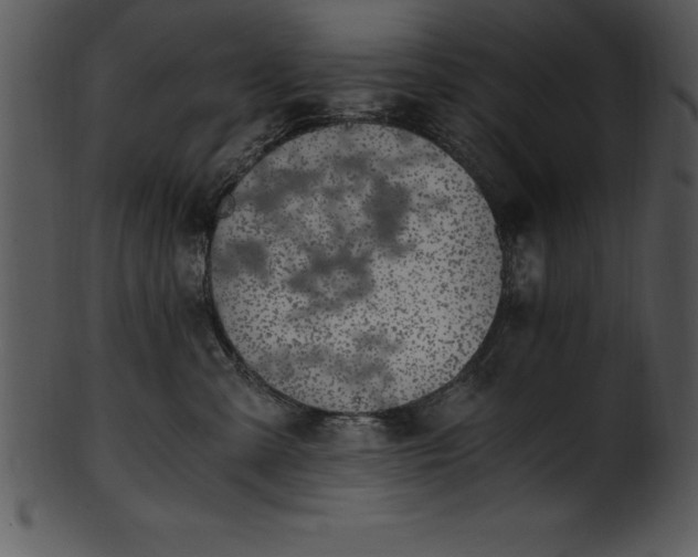 X0000101460427200807141311