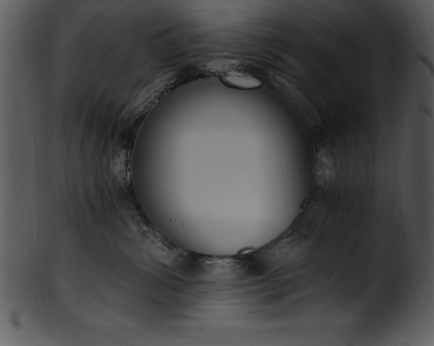 X0000101460428200807141311