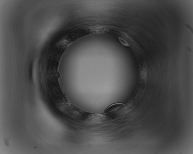 X0000101460429200807141311