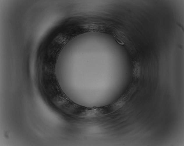 X0000101460430200807141311