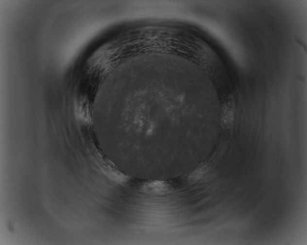 X0000101460431200807141311