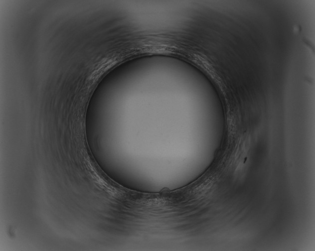 X0000101460433200807141310