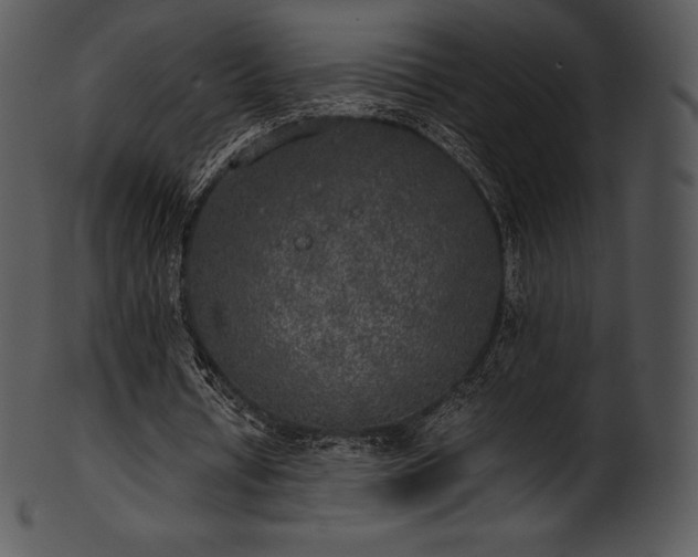 X0000101460434200807141310