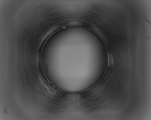 X0000101460435200807141310