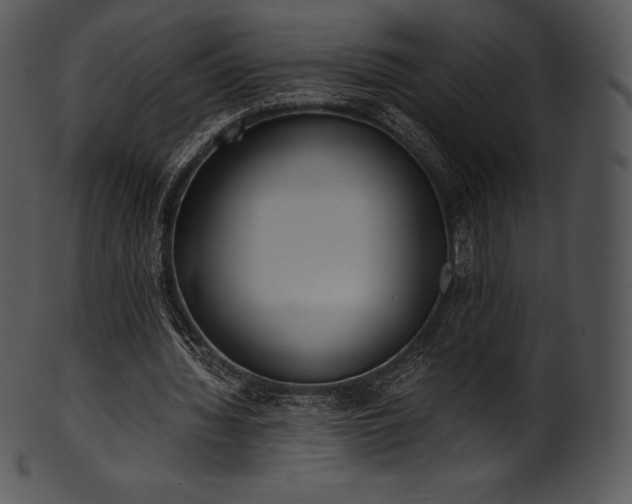 X0000101460436200807141310