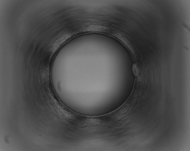 X0000101460437200807141310