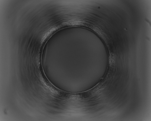 X0000101460438200807141310