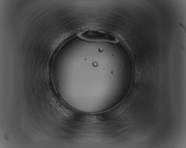 X0000101460439200807141310