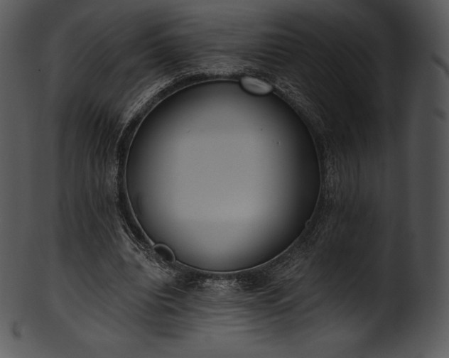 X0000101460440200807141310