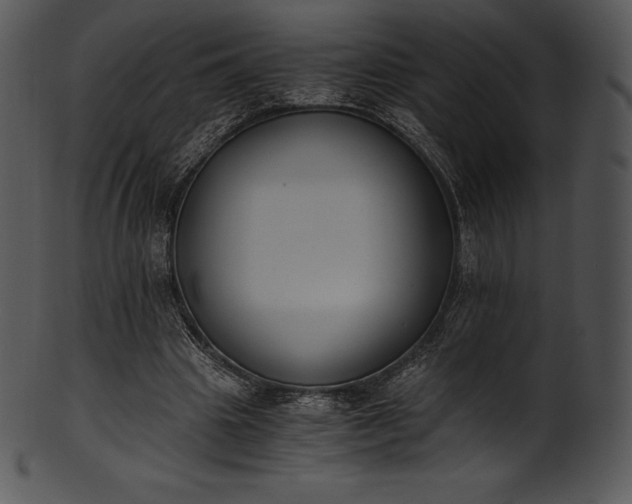 X0000101460441200807141310