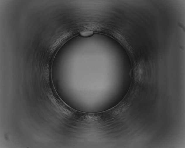 X0000101460442200807141310