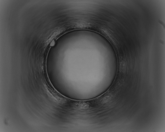 X0000101460443200807141310