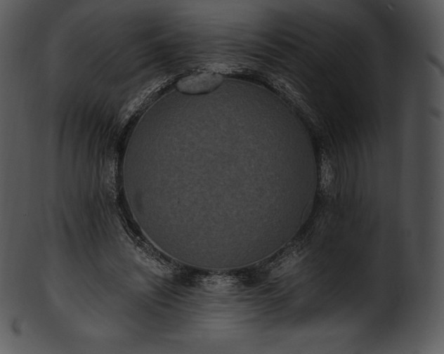 X0000101460444200807141310