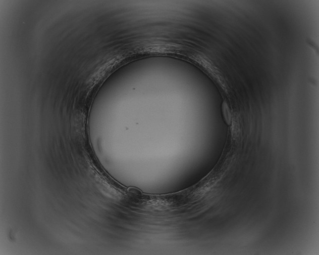 X0000101460445200807141310